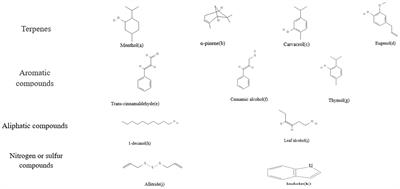 The performance of plant essential oils against lactic acid bacteria and adverse microorganisms in silage production